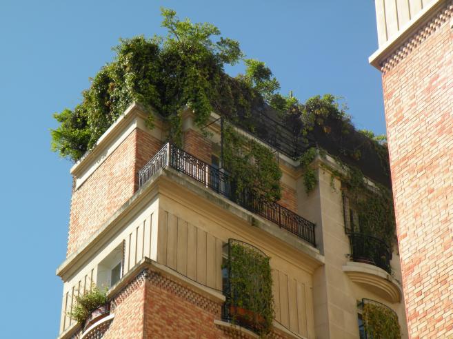  fenêtres et terrasses envahies par la verdure